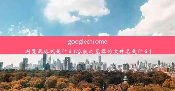 googlechrome浏览器格式是什么(谷歌浏览器的文件名是什么)