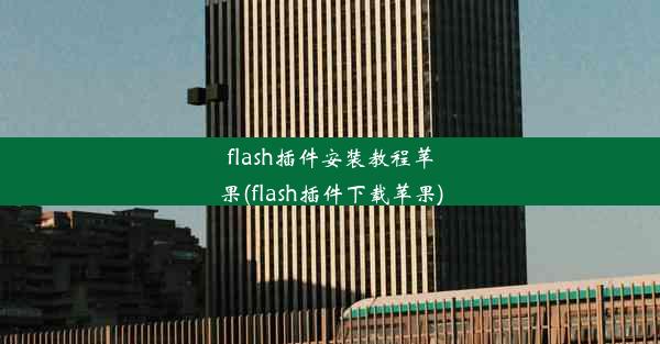 flash插件安装教程苹果(flash插件下载苹果)