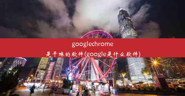 googlechrome是干嘛的软件(google是什么软件)