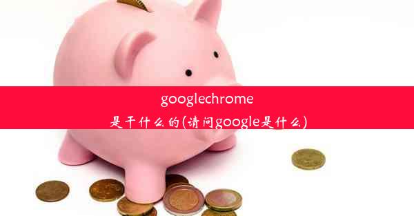 googlechrome是干什么的(请问google是什么)