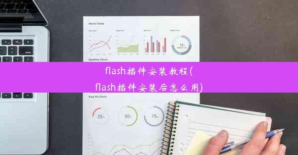 flash插件安装教程(flash插件安装后怎么用)