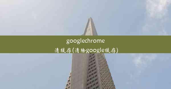 googlechrome清缓存(清除google缓存)