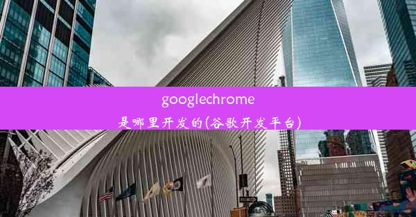 googlechrome是哪里开发的(谷歌开发平台)