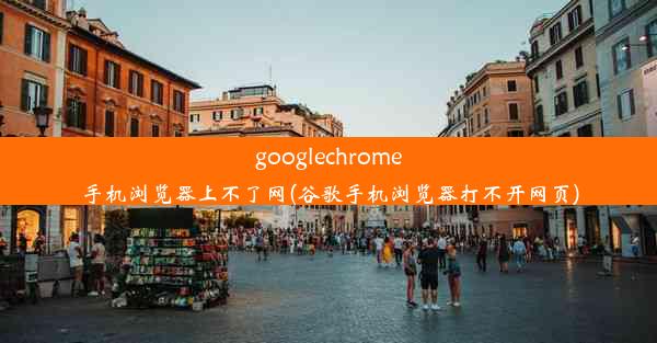 googlechrome手机浏览器上不了网(谷歌手机浏览器打不开网页)