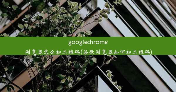 googlechrome浏览器怎么扫二维码(谷歌浏览器如何扫二维码)