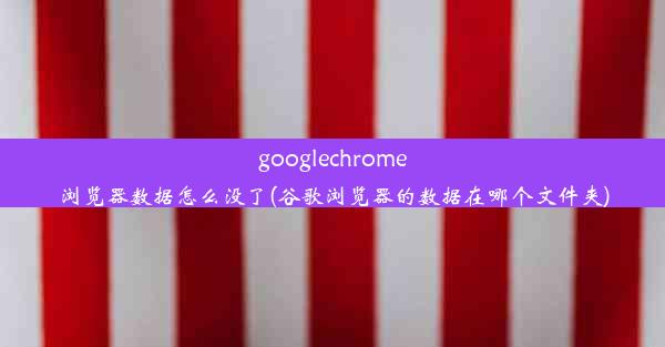 googlechrome浏览器数据怎么没了(谷歌浏览器的数据在哪个文件夹)