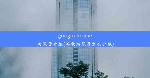 googlechrome浏览器升级(谷歌游览器怎么升级)