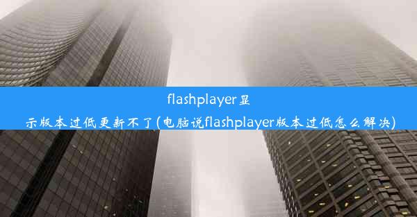 flashplayer显示版本过低更新不了(电脑说flashplayer版本过低怎么解决)