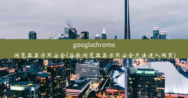 googlechrome浏览器显示不安全(谷歌浏览器显示不安全无法进入网页)