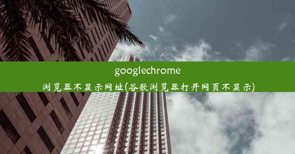 googlechrome浏览器不显示网址(谷歌浏览器打开网页不显示)