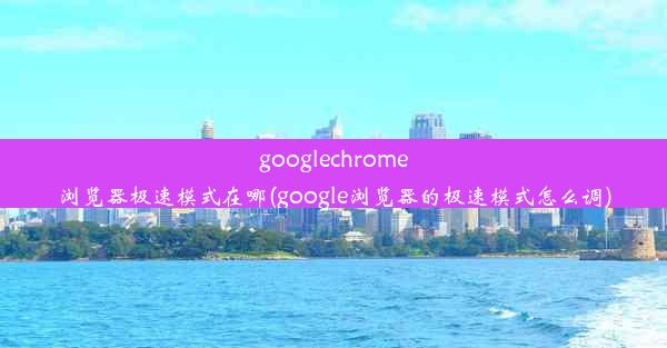 googlechrome浏览器极速模式在哪(google浏览器的极速模式怎么调)