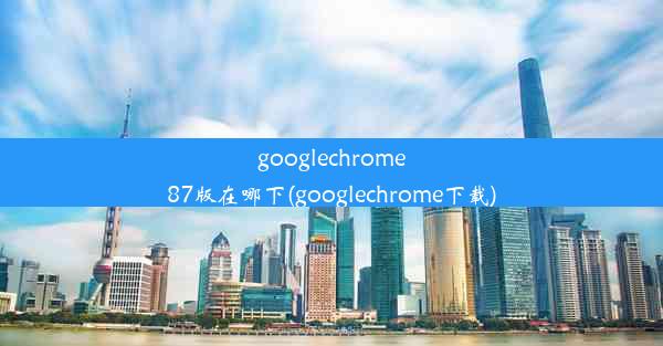 googlechrome87版在哪下(googlechrome下载)