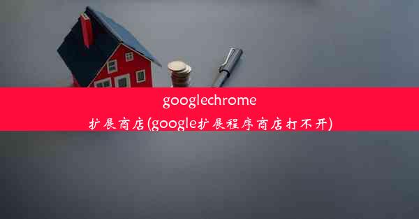 googlechrome扩展商店(google扩展程序商店打不开)