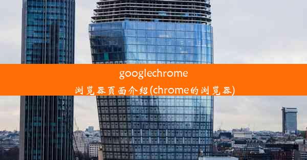 googlechrome浏览器页面介绍(chrome的浏览器)