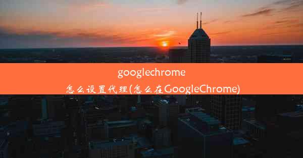 googlechrome怎么设置代理(怎么在GoogleChrome)