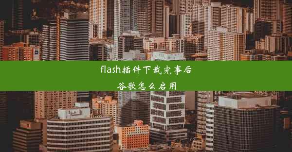 flash插件下载完事后谷歌怎么启用