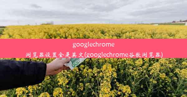 googlechrome浏览器设置全是英文(googlechrome谷歌浏览器)