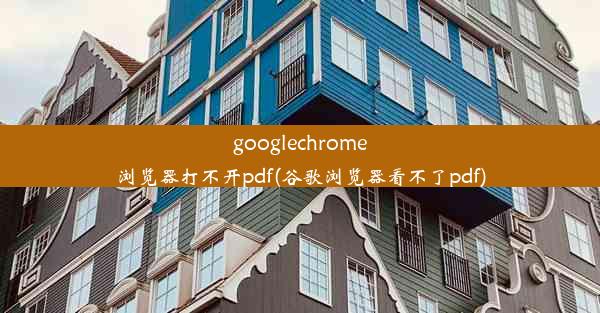 googlechrome浏览器打不开pdf(谷歌浏览器看不了pdf)