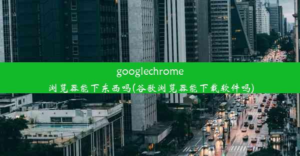 googlechrome浏览器能下东西吗(谷歌浏览器能下载软件吗)