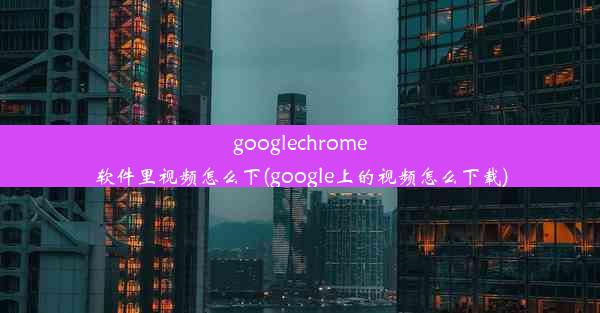 googlechrome软件里视频怎么下(google上的视频怎么下载)