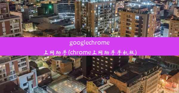 googlechrome上网助手(chrome上网助手手机版)