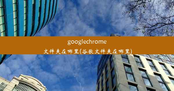 googlechrome文件夹在哪里(谷歌文件夹在哪里)