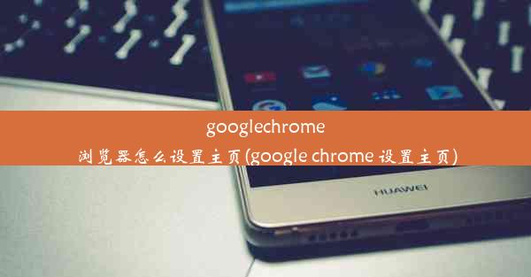 googlechrome浏览器怎么设置主页(google chrome 设置主页)