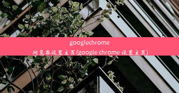 googlechrome浏览器设置主页(google chrome 设置主页)