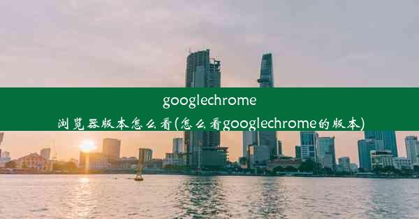 googlechrome浏览器版本怎么看(怎么看googlechrome的版本)