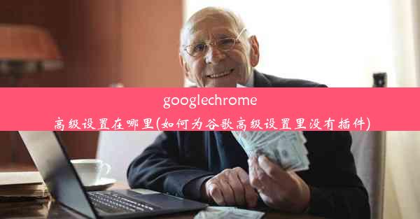 googlechrome高级设置在哪里(如何为谷歌高级设置里没有插件)