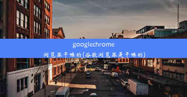 googlechrome浏览器干嘛的(谷歌浏览器是干嘛的)