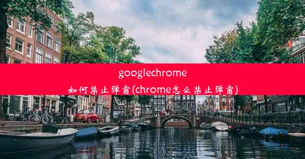 googlechrome如何禁止弹窗(chrome怎么禁止弹窗)