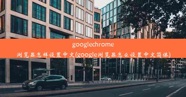 googlechrome浏览器怎样设置中文(google浏览器怎么设置中文简体)