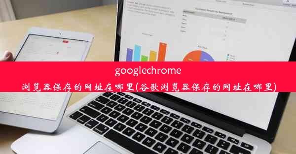 googlechrome浏览器保存的网址在哪里(谷歌浏览器保存的网址在哪里)