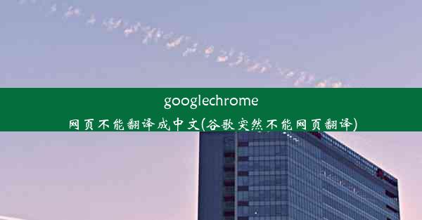 googlechrome网页不能翻译成中文(谷歌突然不能网页翻译)