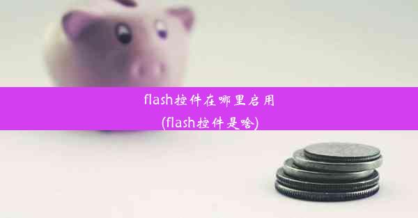 flash控件在哪里启用(flash控件是啥)