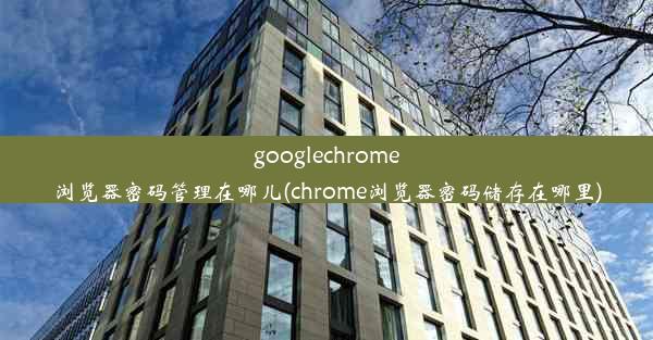 googlechrome浏览器密码管理在哪儿(chrome浏览器密码储存在哪里)