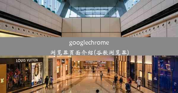 googlechrome浏览器页面介绍(谷歌浏览器)