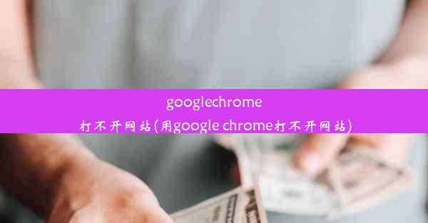 googlechrome打不开网站(用google chrome打不开网站)