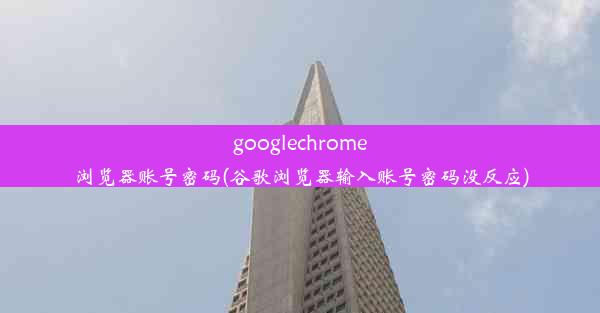 googlechrome浏览器账号密码(谷歌浏览器输入账号密码没反应)