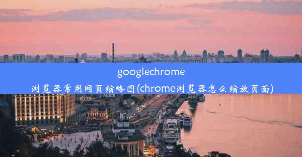 googlechrome浏览器常用网页缩略图(chrome浏览器怎么缩放页面)