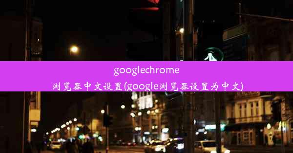 googlechrome浏览器中文设置(google浏览器设置为中文)