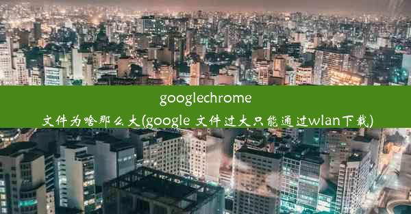 googlechrome文件为啥那么大(google 文件过大只能通过wlan下载)