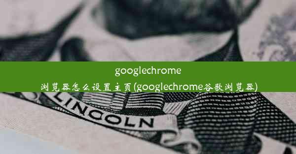 googlechrome浏览器怎么设置主页(googlechrome谷歌浏览器)