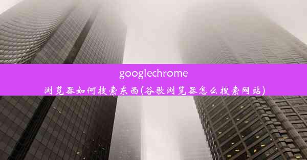 googlechrome浏览器如何搜索东西(谷歌浏览器怎么搜索网站)