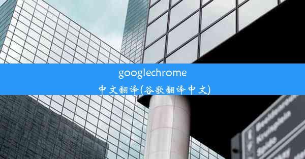 googlechrome中文翻译(谷歌翻译中文)