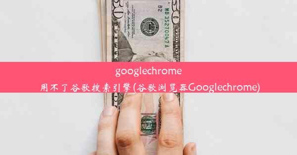 googlechrome用不了谷歌搜索引擎(谷歌浏览器Googlechrome)