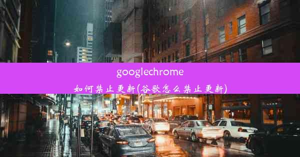 googlechrome如何禁止更新(谷歌怎么禁止更新)