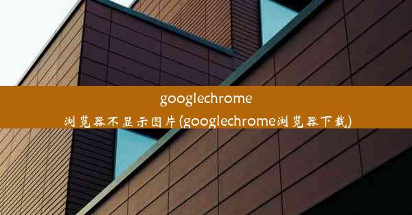 googlechrome浏览器不显示图片(googlechrome浏览器下载)