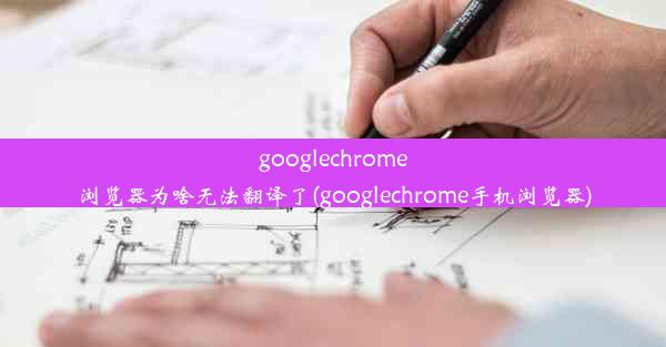 googlechrome浏览器为啥无法翻译了(googlechrome手机浏览器)